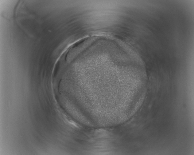 X0000067000290200604142306