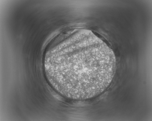 X0000067000293200604142306