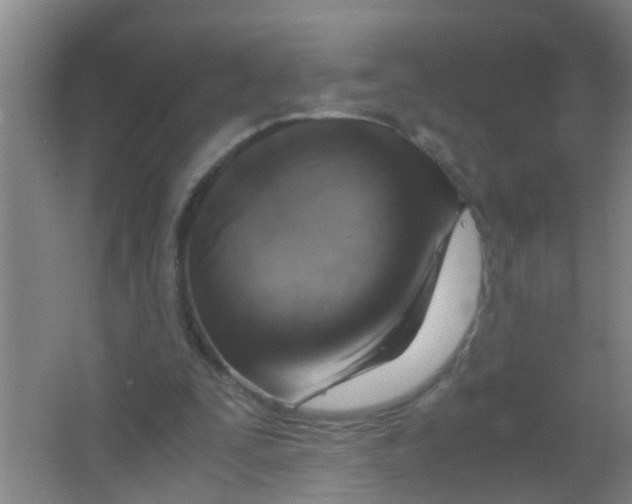 X0000067000295200604142306