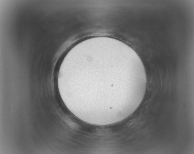 X0000067000296200604142306