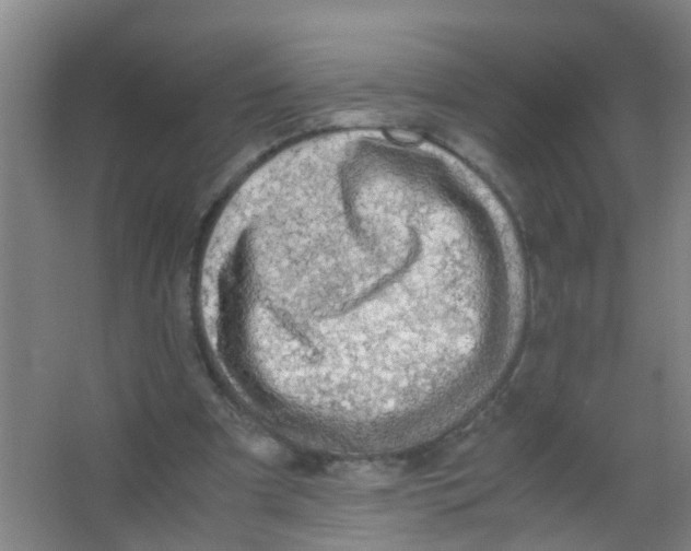 X0000067000297200604142306