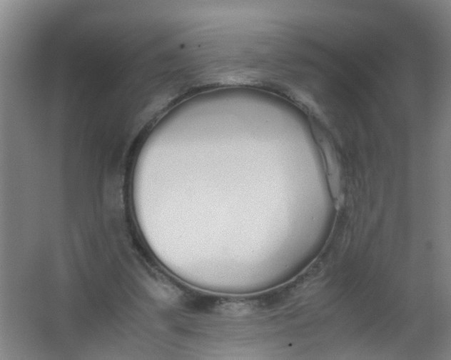 X0000067000299200604142306