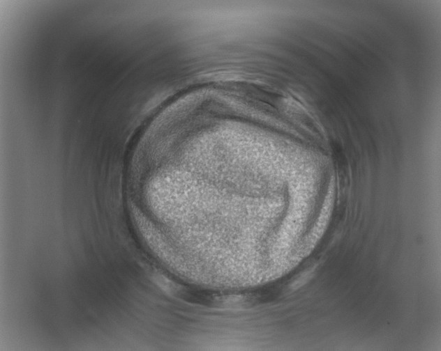 X0000067000301200604142306