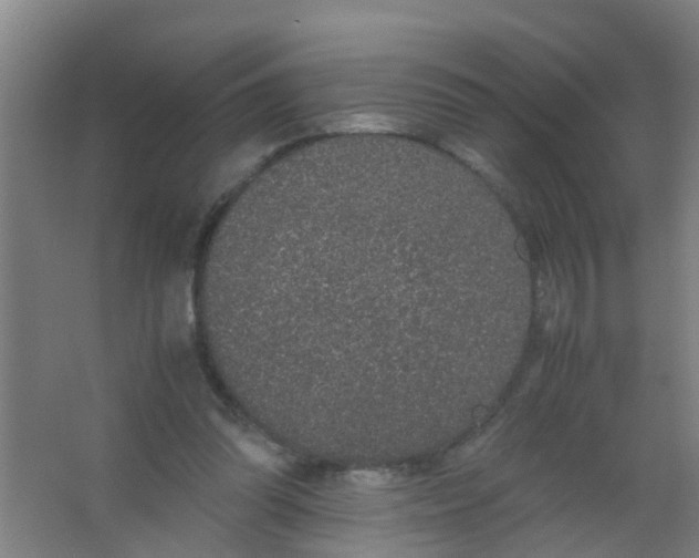 X0000067000302200604142306