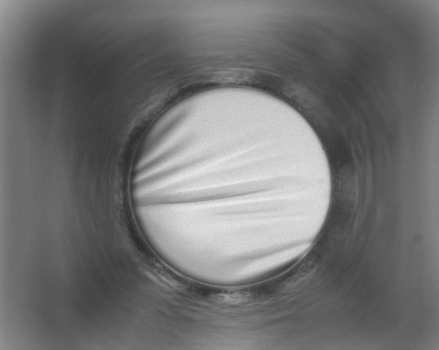 X0000067000303200604142306