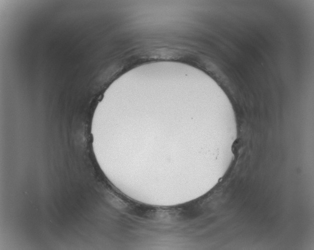 X0000067000305200604142306