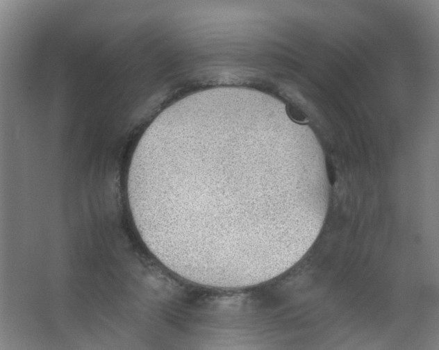 X0000067000306200604142306