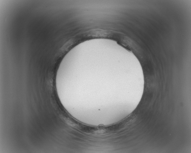 X0000067000309200604142306