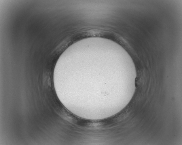 X0000067000313200604142306