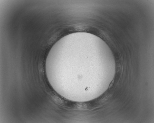 X0000067000317200604142305