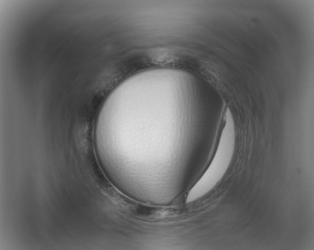 X0000067000319200604142305