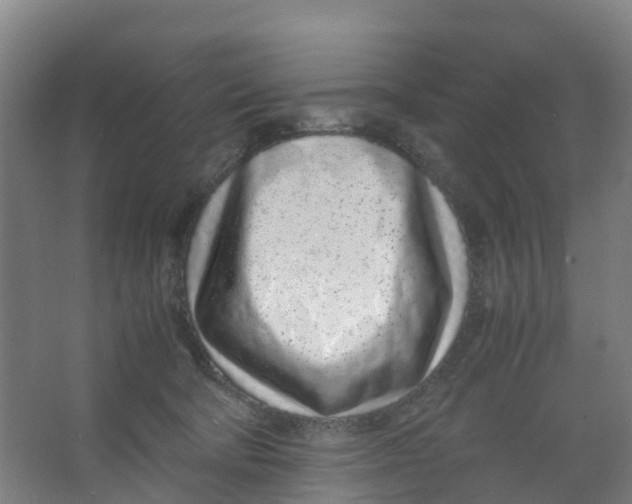 X0000067000322200604142305