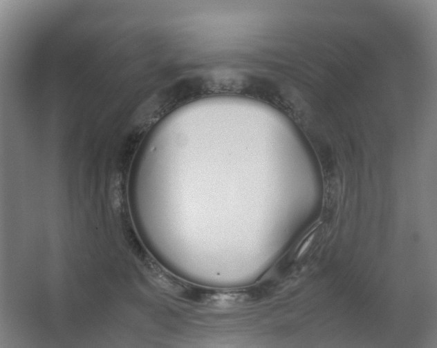 X0000067000323200604142305