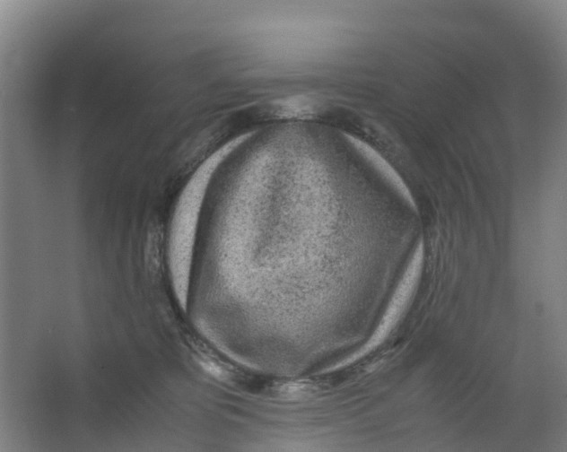 X0000067000325200604142305