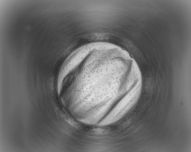 X0000067000326200604142305