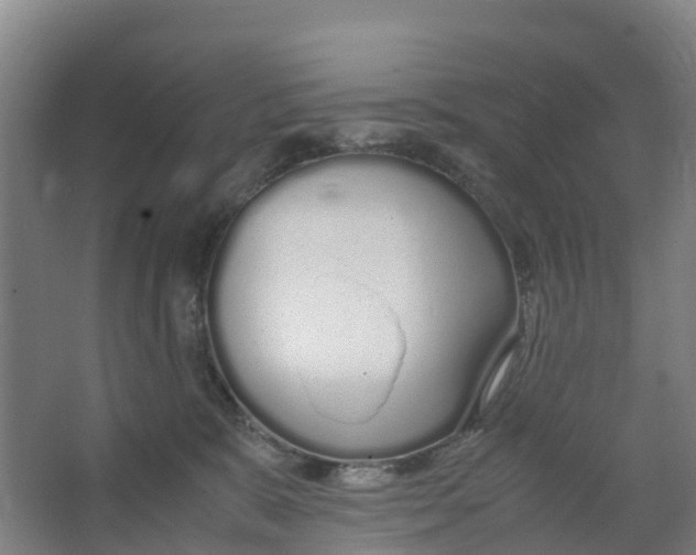 X0000067000327200604142305