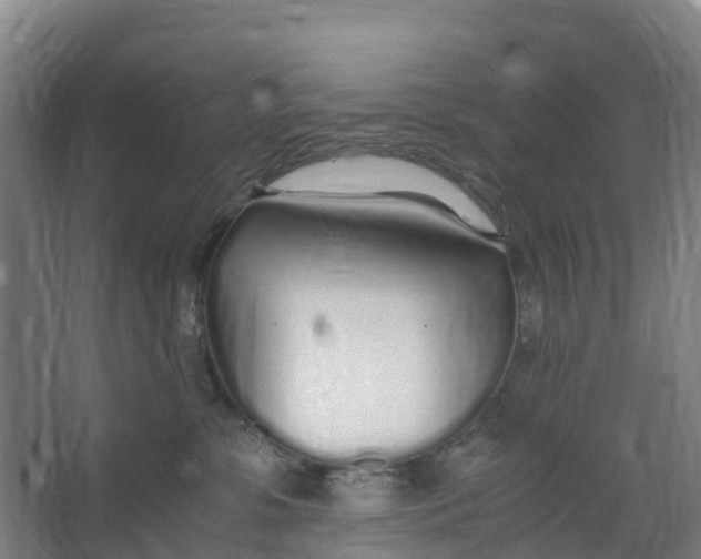 X0000067000331200604142305