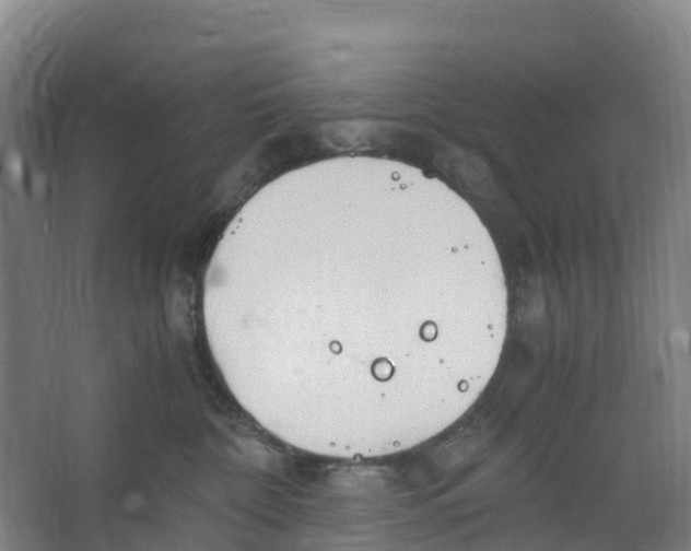 X0000067000332200604142305