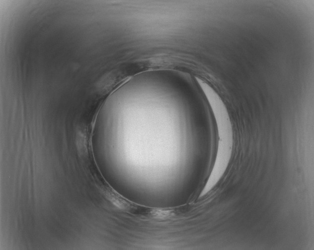 X0000067000333200604142305