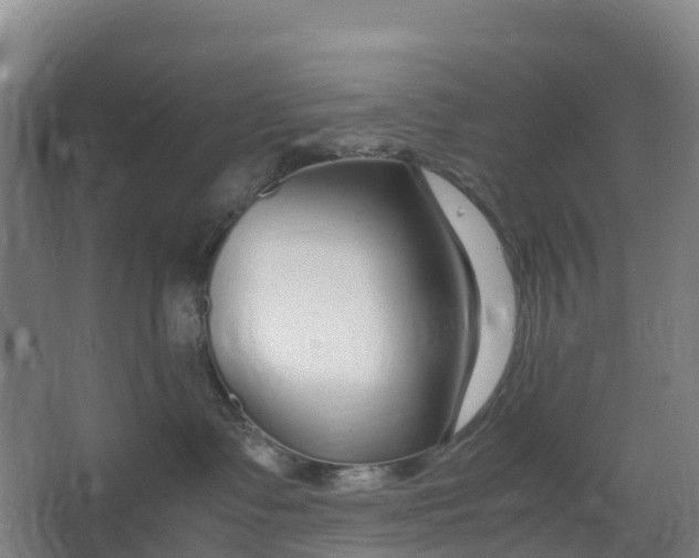 X0000067000335200604142305