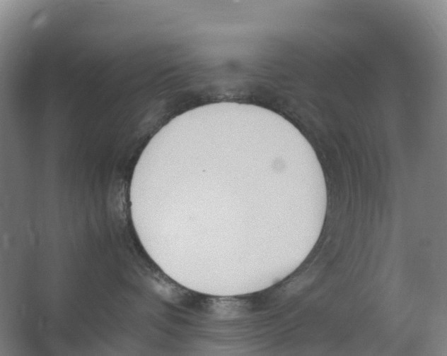 X0000067000336200604142305