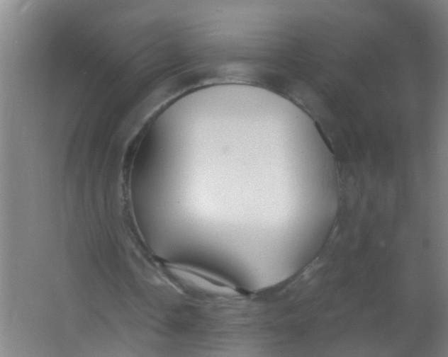 X0000067000338200604142304