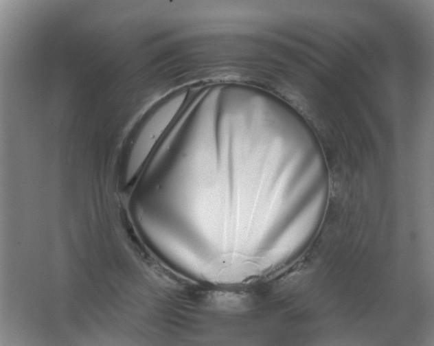 X0000067000347200604142305