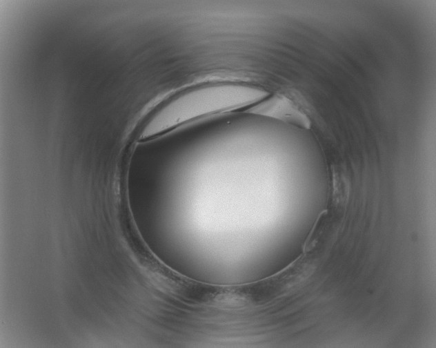 X0000067000348200604142305