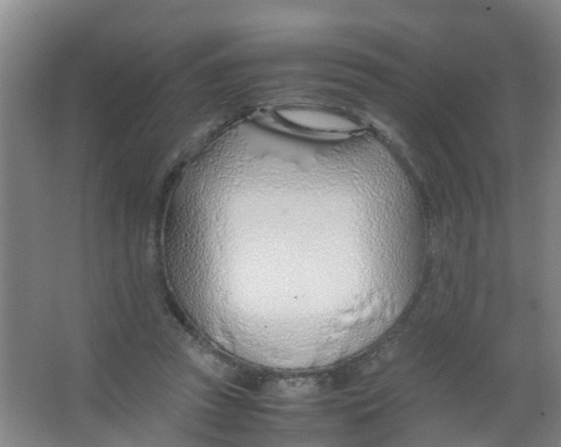 X0000067000353200604142305