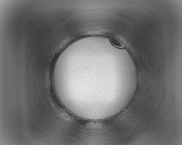 X0000067000354200604142305