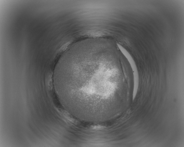 X0000067000360200604142305