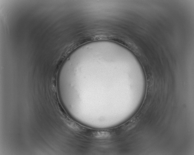 X0000067000361200604142305