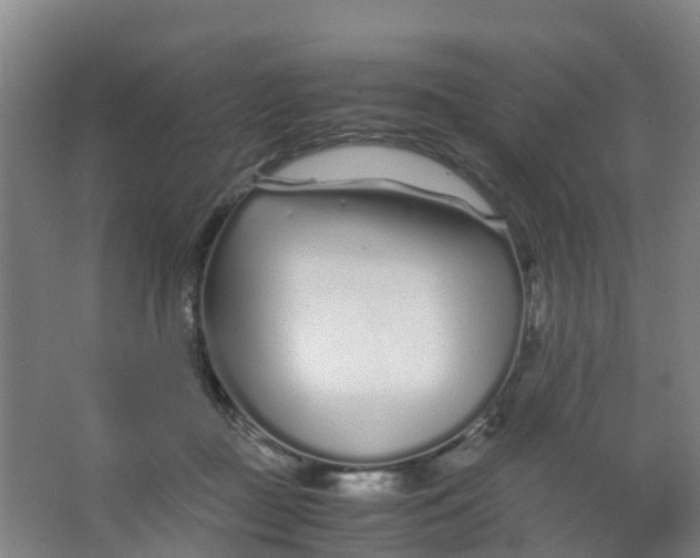 X0000067000363200604142305