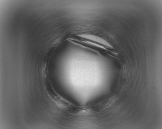 X0000067000364200604142305