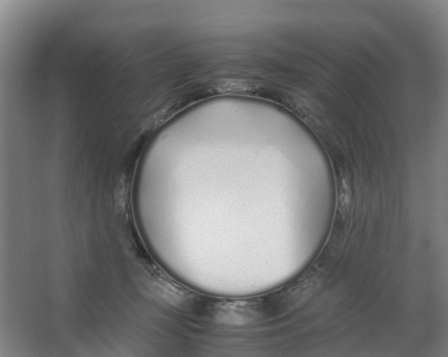 X0000067000367200604142305