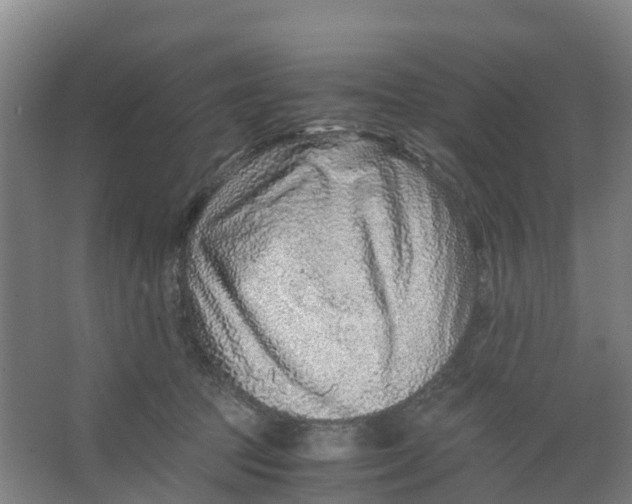 X0000067000369200604142305