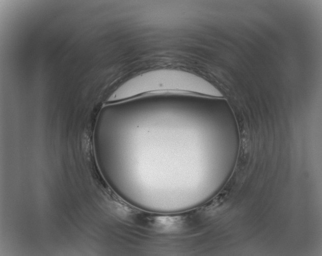 X0000067000371200604142305