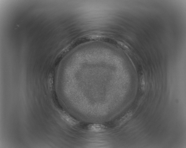 X0000067000372200604142305