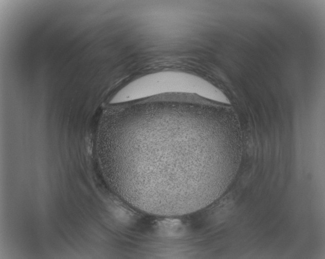 X0000067000374200604142305