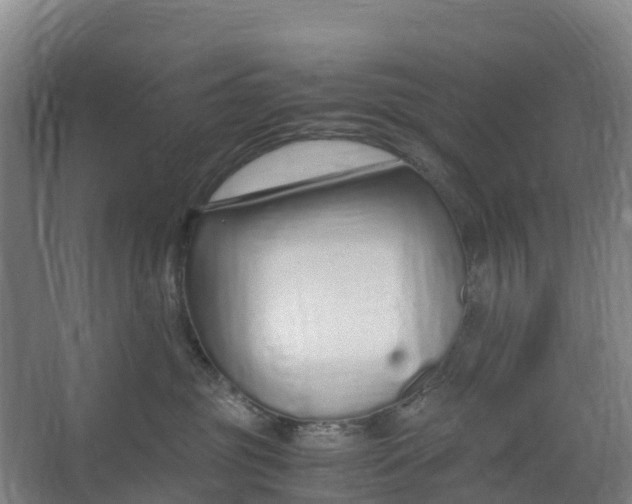 X0000067000381200604142305