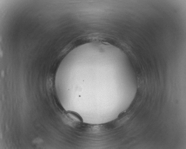 X0000067000382200604142305