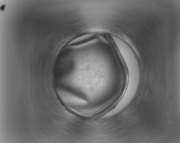 X0000067000385200604142304