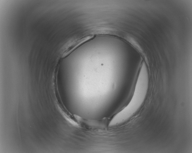 X0000067000389200604142304