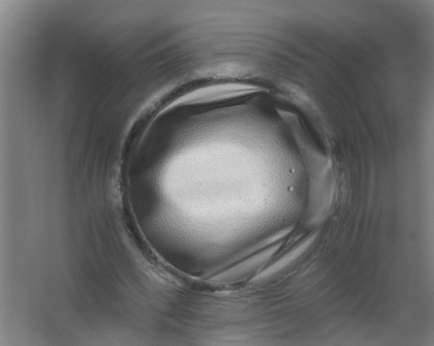 X0000067000392200604142304