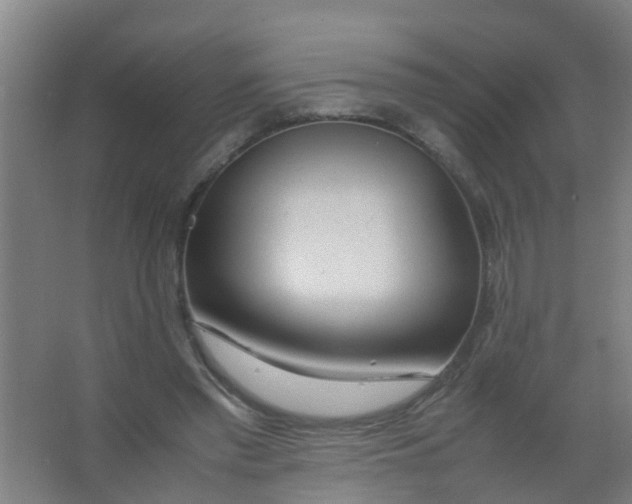 X0000067000397200604142304