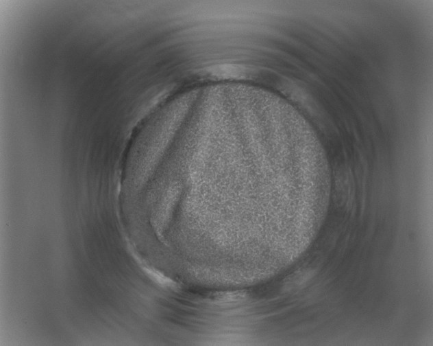 X0000067000398200604142304