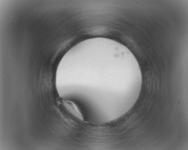 X0000067000400200604142304