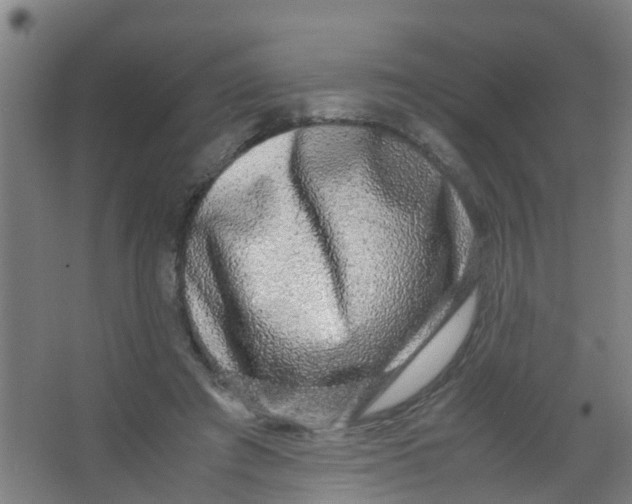 X0000067000401200604142304