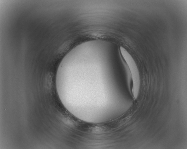 X0000067000412200604142304