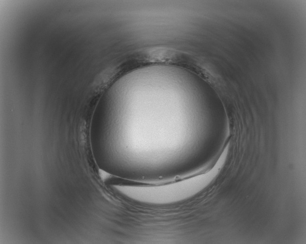 X0000067000413200604142304